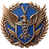 Veterans Nexus Institute insignia